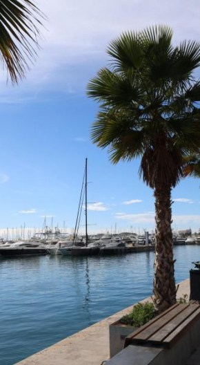 Alicantan Vital Experience, Alicante